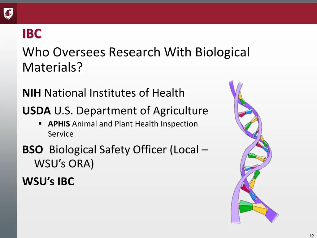 ibc who oversees research with biological