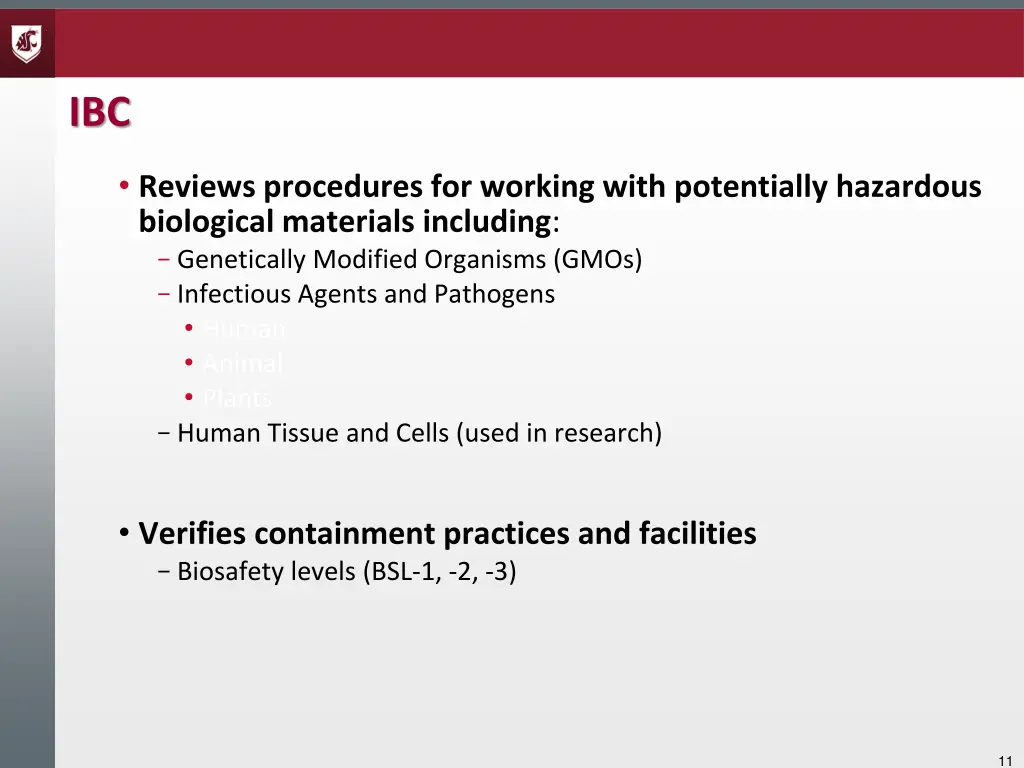 slide11