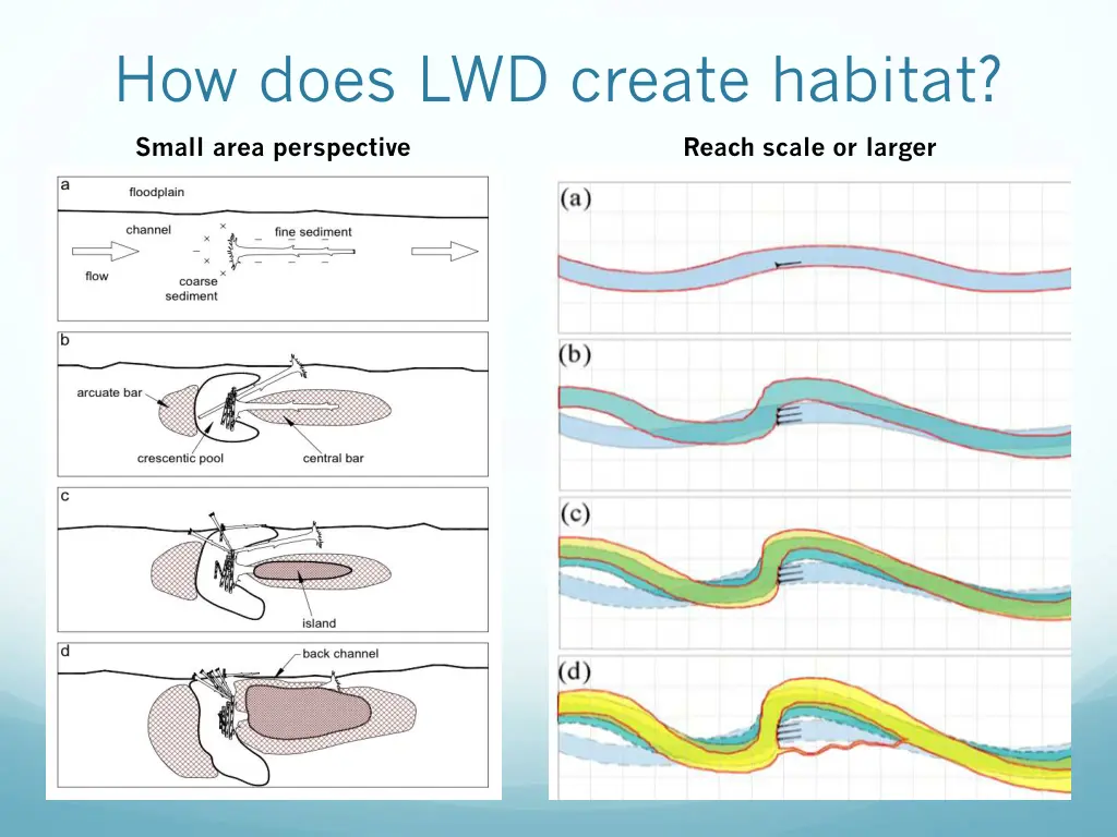 how does lwd create habitat
