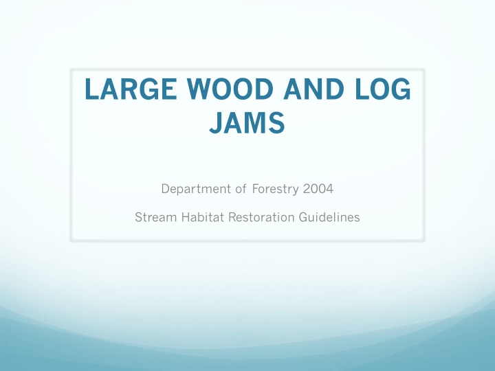 large wood and log jams