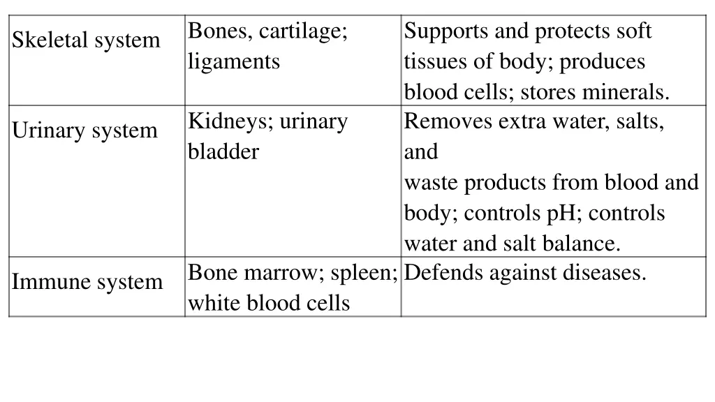 bones cartilage ligaments
