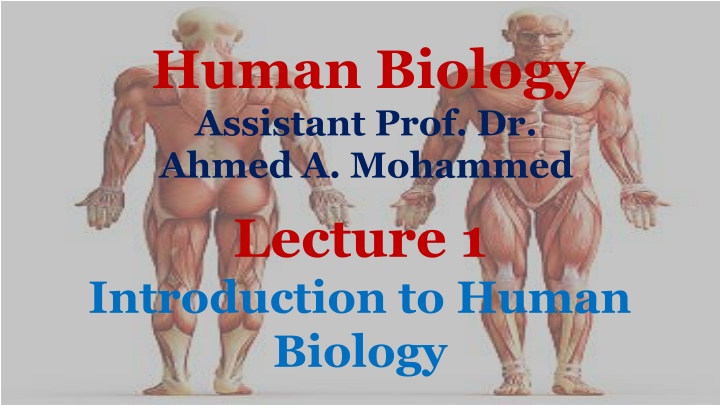 human biology assistant prof dr ahmed a mohammed