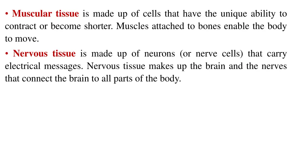 muscular tissue is made up of cells that have