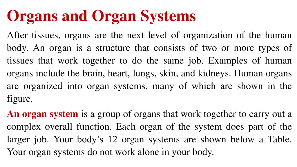 organs and organ systems after tissues organs