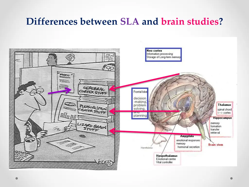 differences between sla and brain studies