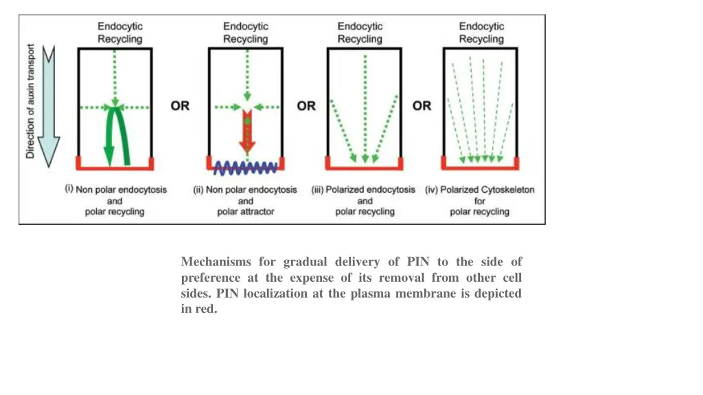 mechanisms for gradual delivery