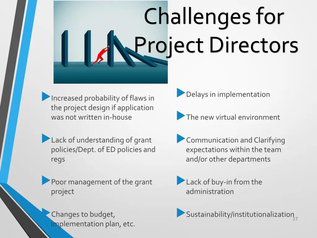 challenges for project directors