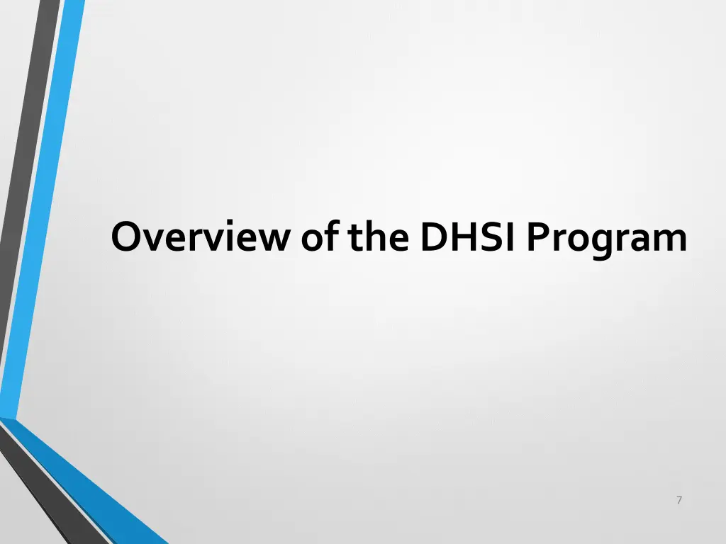 overview of the dhsi program