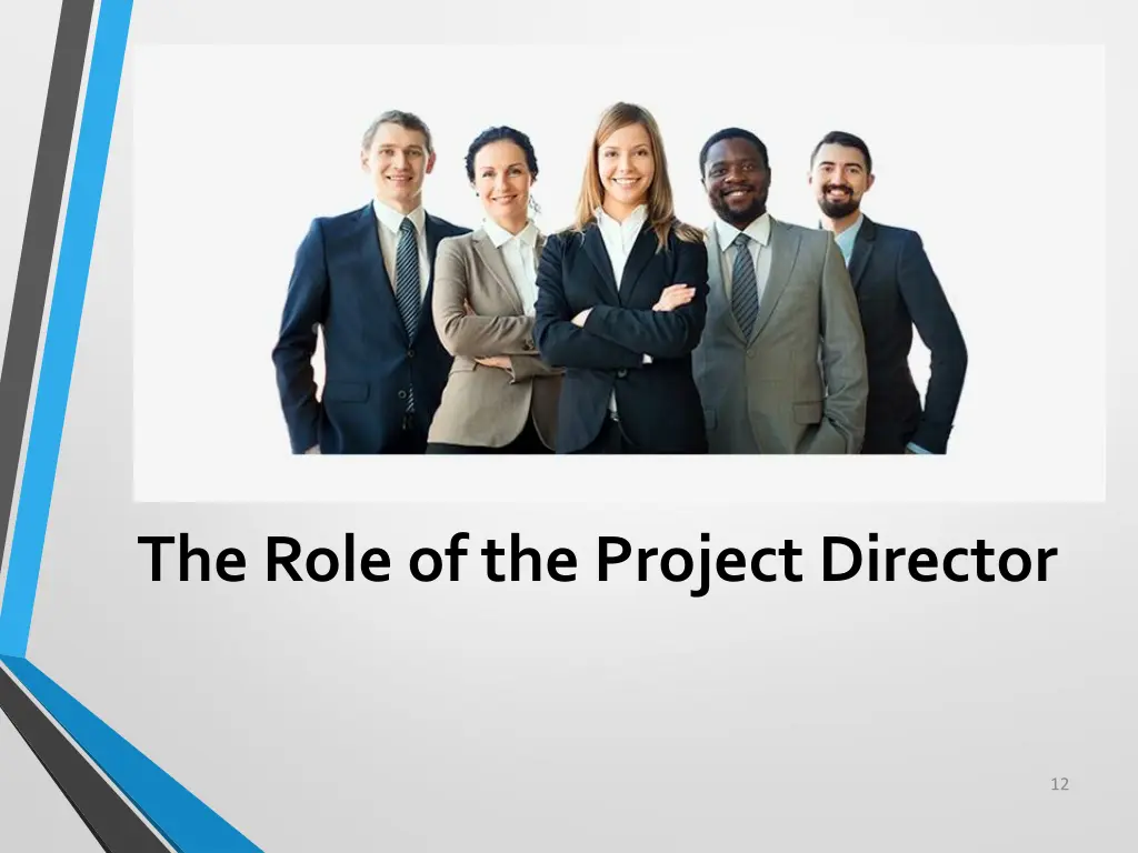 the role of the project director