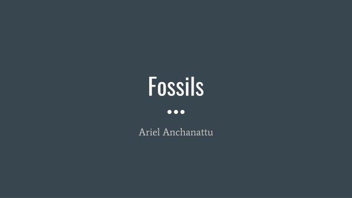fossils