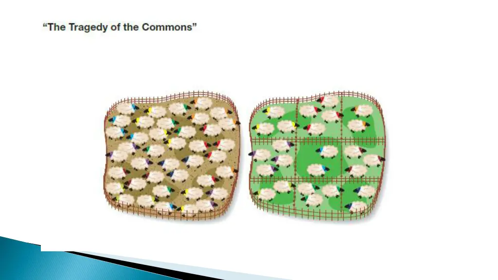 slide18