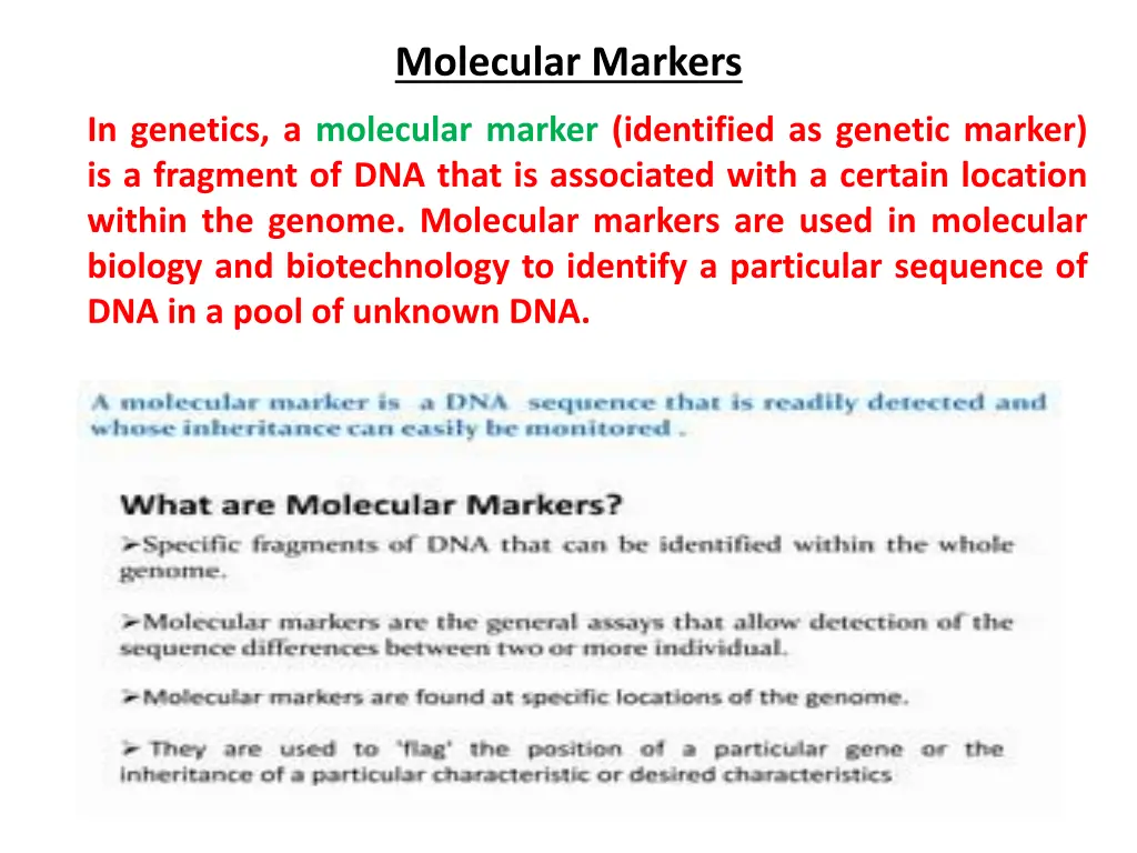 molecular markers