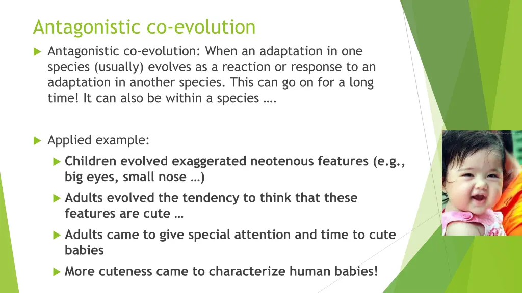 antagonistic co evolution
