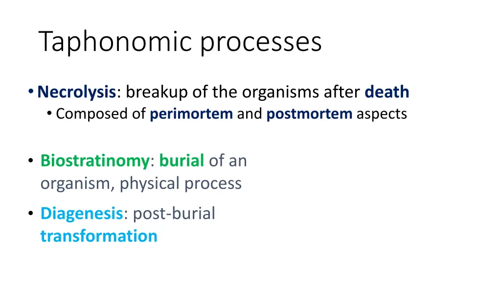 taphonomic processes