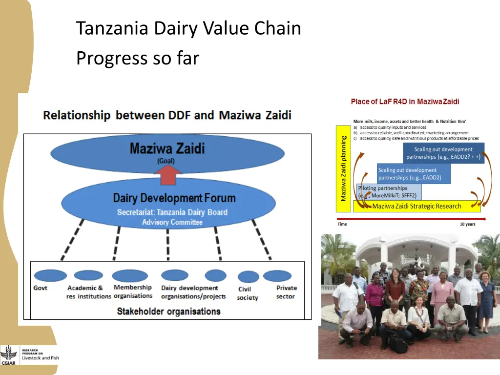 tanzania dairy value chain progress so far