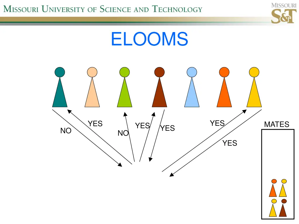 elooms