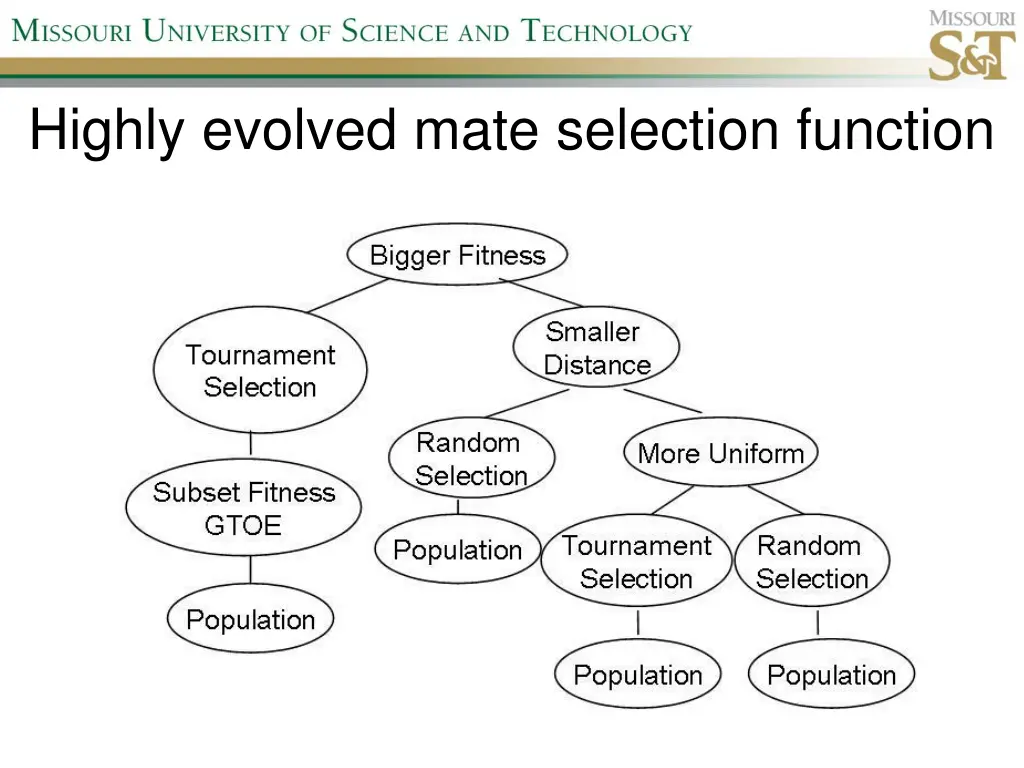 highly evolved mate selection function