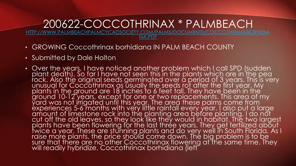 200622 coccothrinax palmbeach http 1