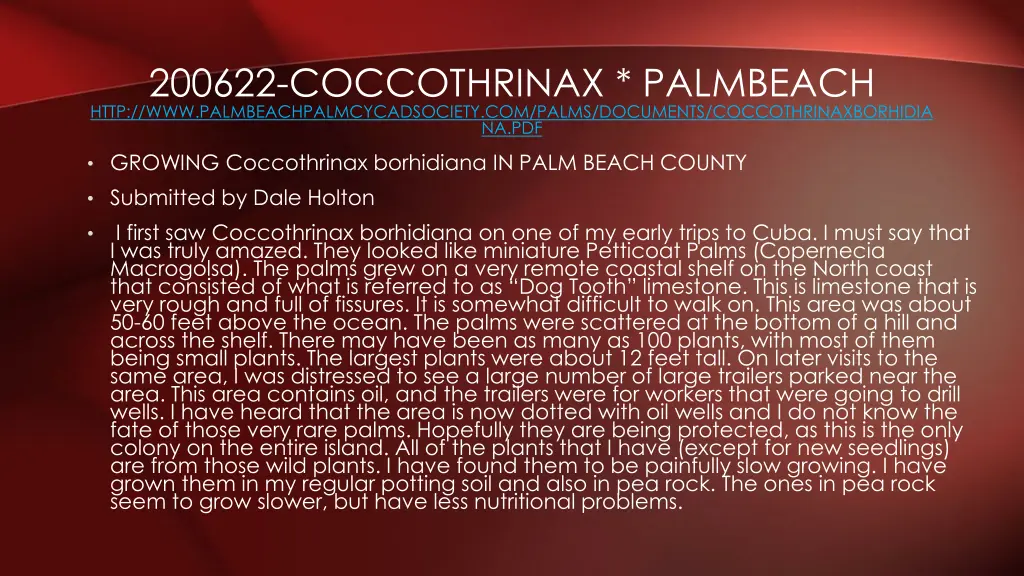 200622 coccothrinax palmbeach http