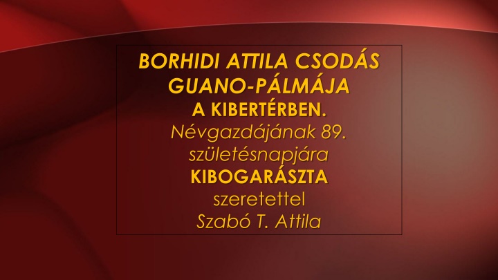 borhidi attila csod s guano p lm ja a kibert rben