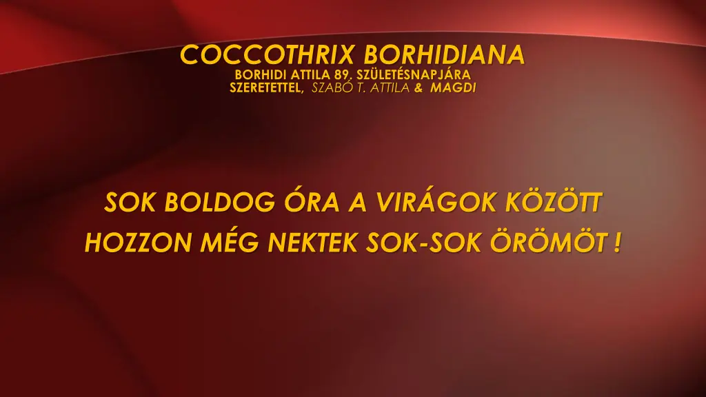 coccothrix borhidiana borhidi attila