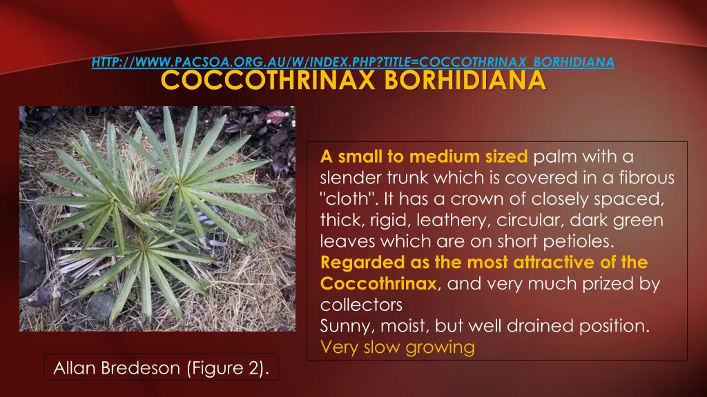 http www pacsoa org au w index php title 1