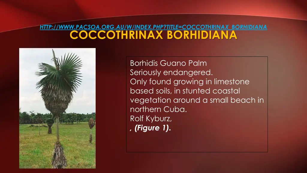 http www pacsoa org au w index php title