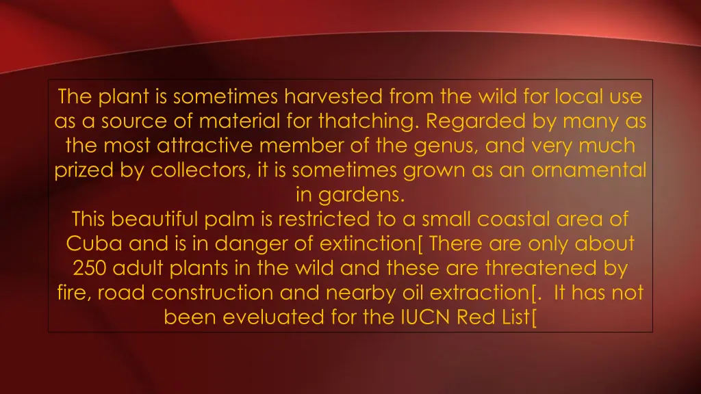 the plant is sometimes harvested from the wild