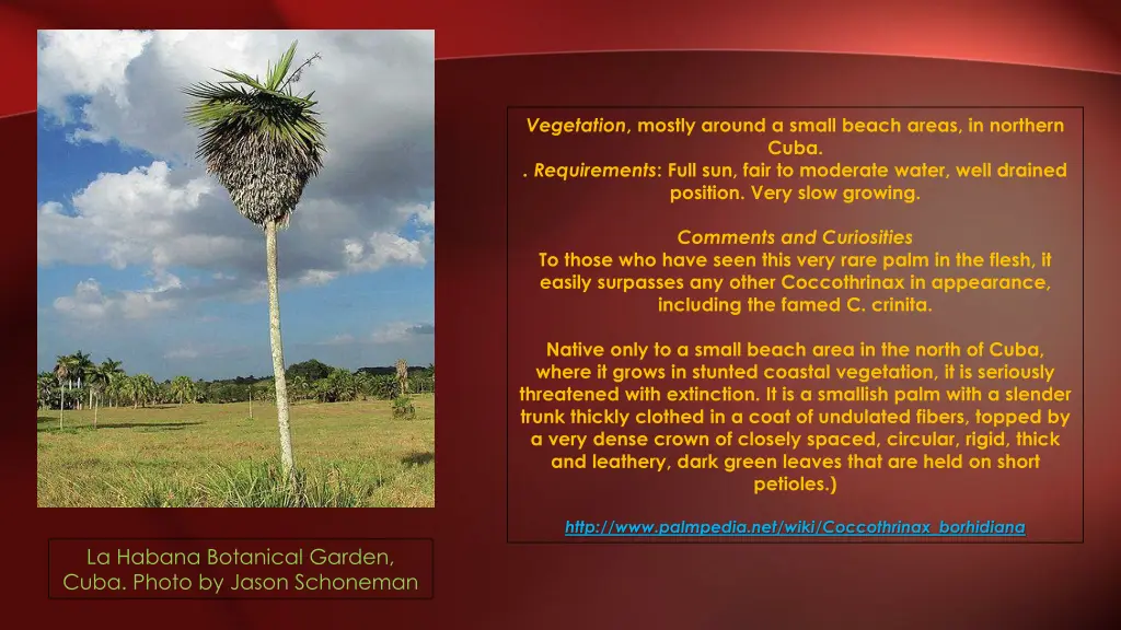 vegetation mostly around a small beach areas