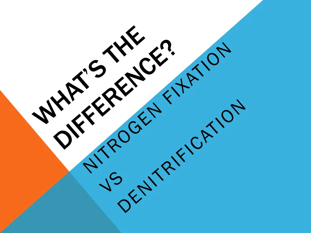 slide29