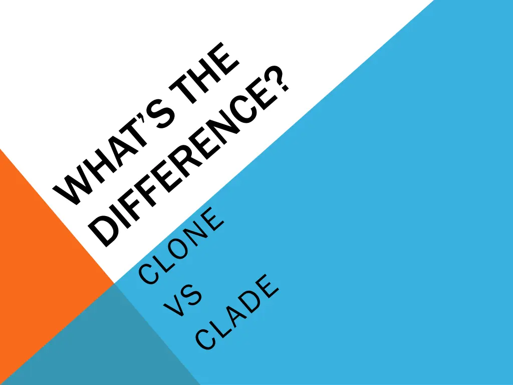 slide31