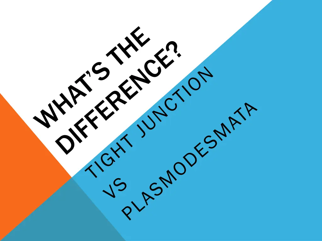 slide39