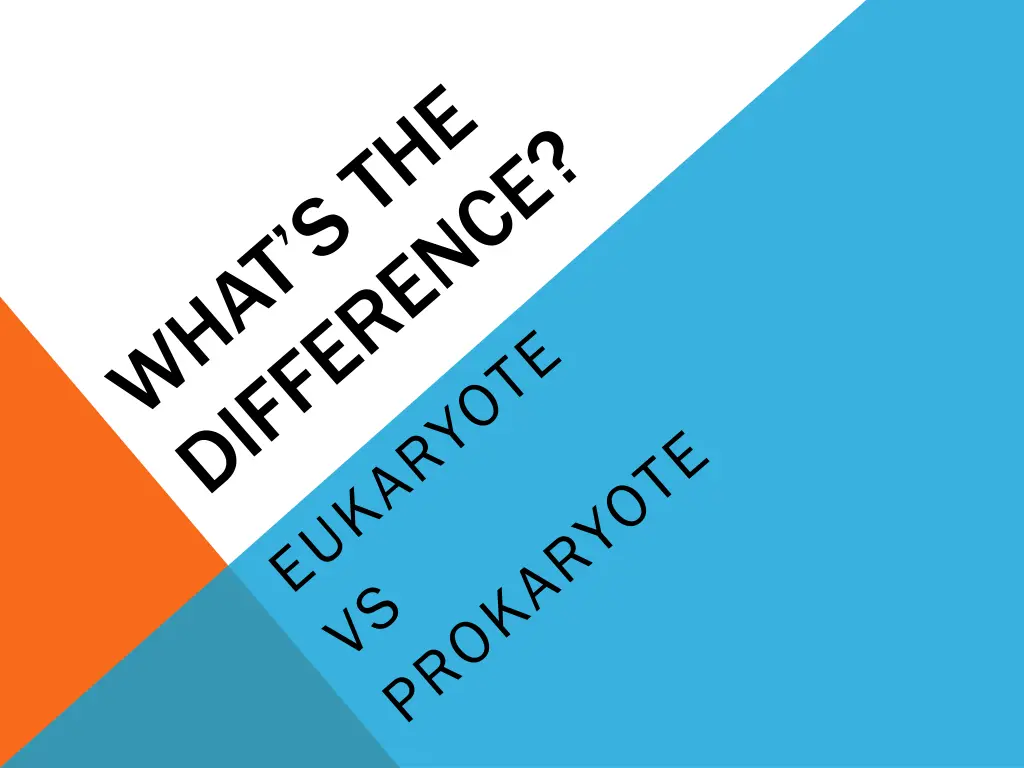 slide9