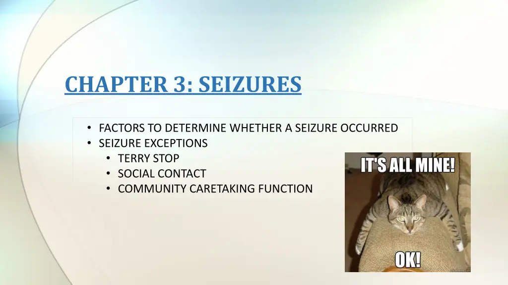 chapter 3 seizures
