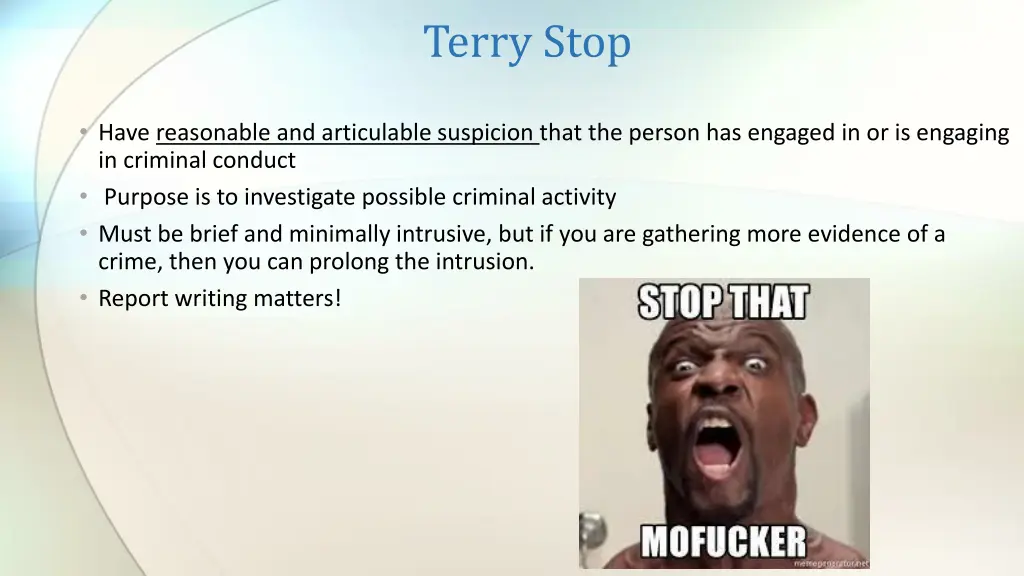 terry stop