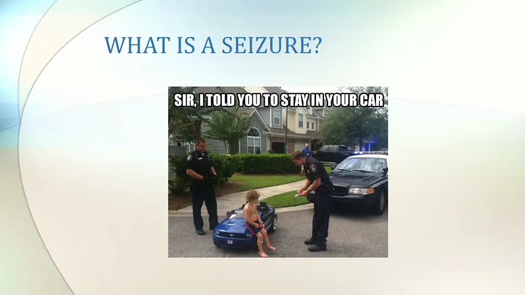 what is a seizure