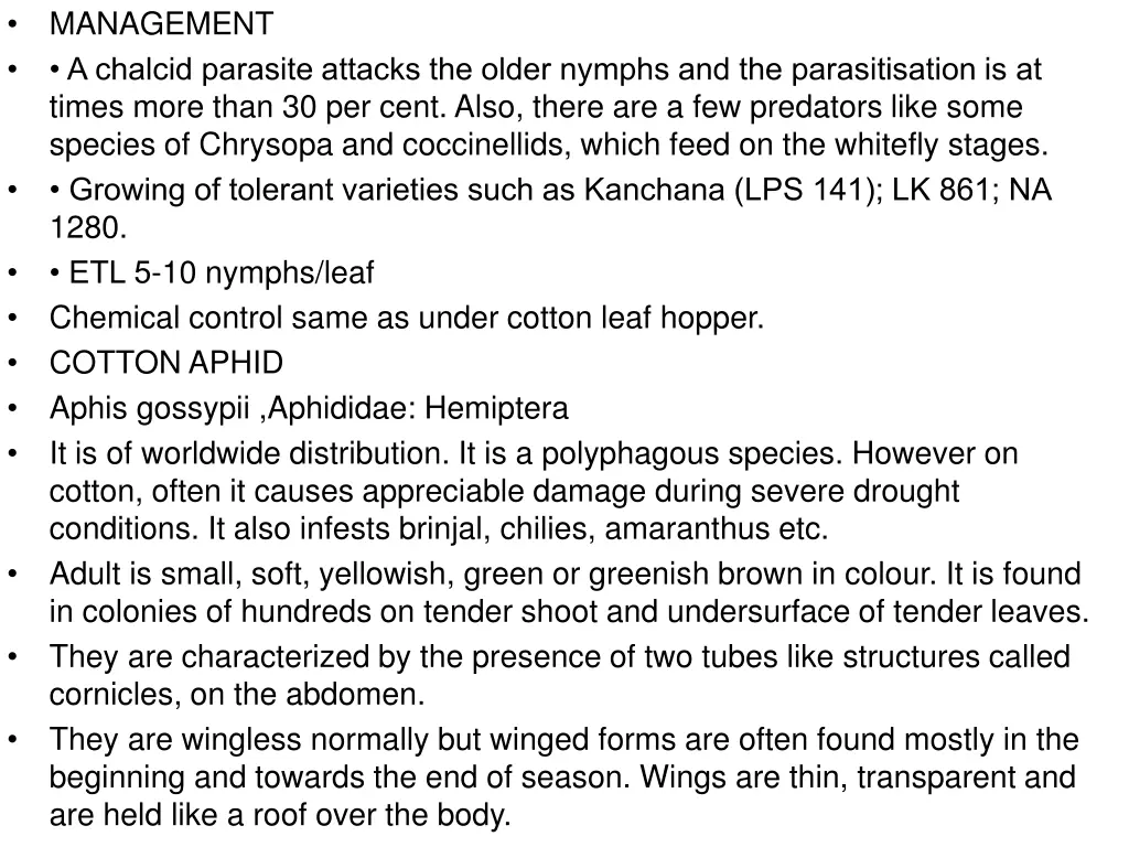 management a chalcid parasite attacks the older