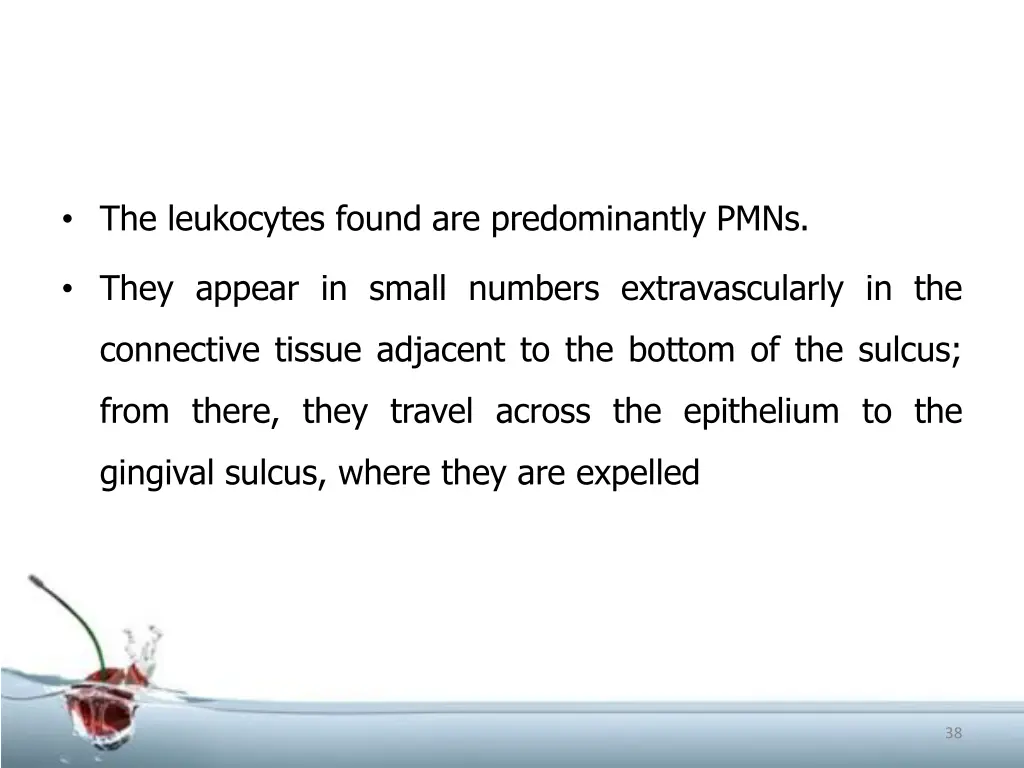 the leukocytes found are predominantly pmns