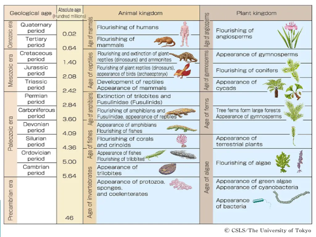 slide16