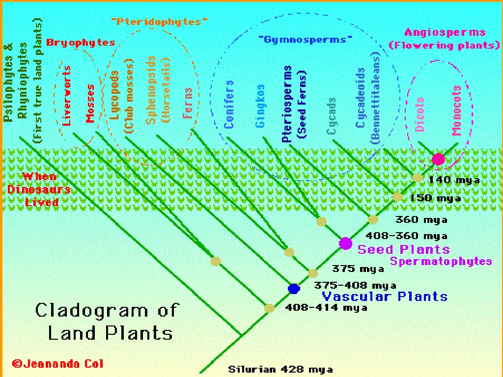 slide18