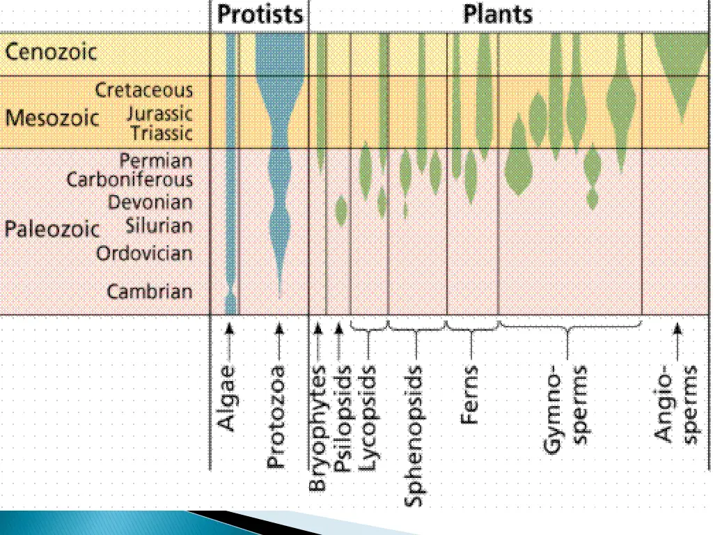 slide19