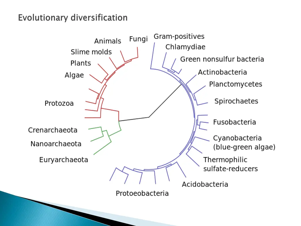 slide21