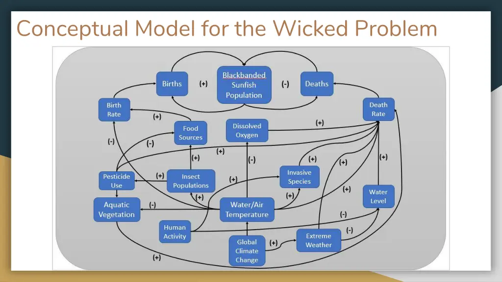 conceptual model for the wicked problem