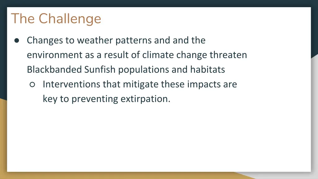 the challenge