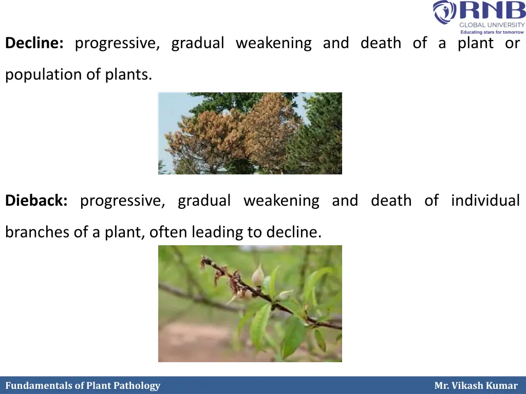 decline progressive gradual weakening and death