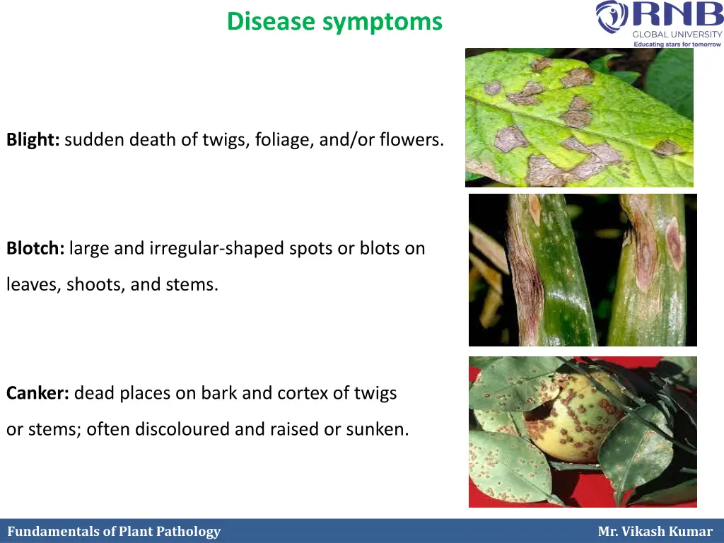 disease symptoms