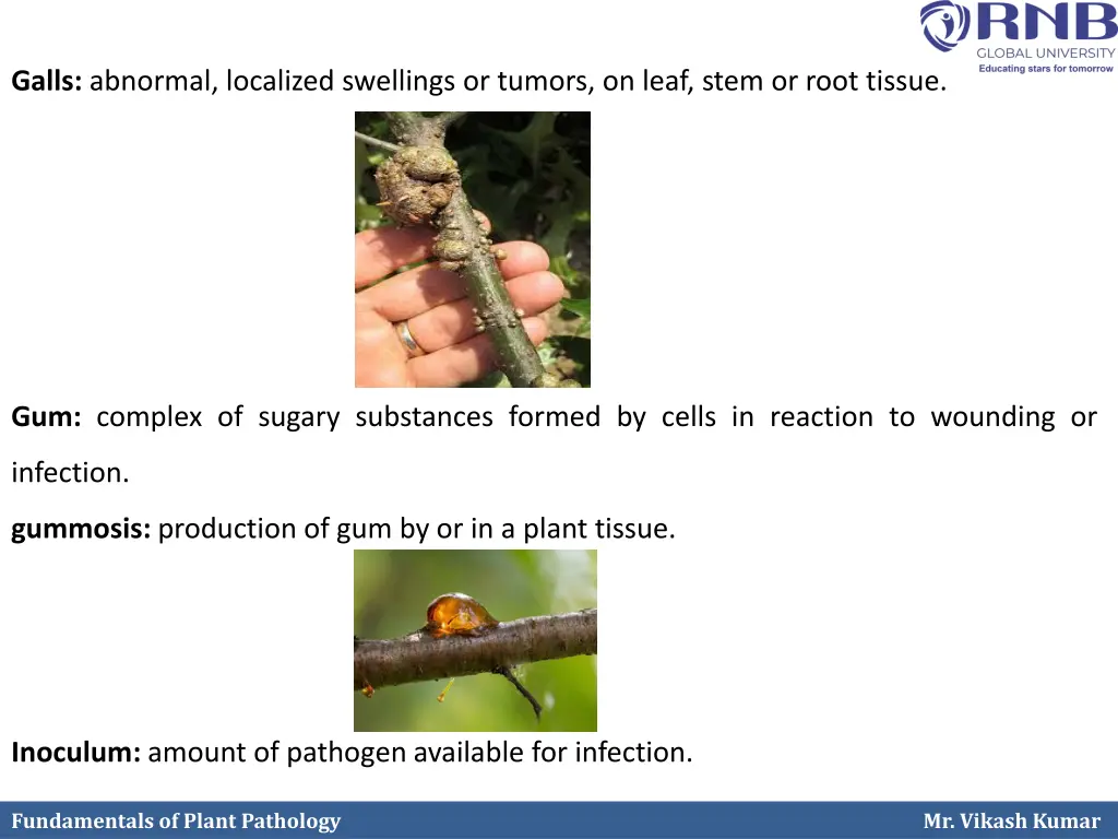 galls abnormal localized swellings or tumors