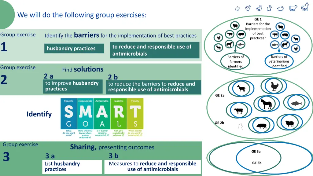 we will do the following group exercises