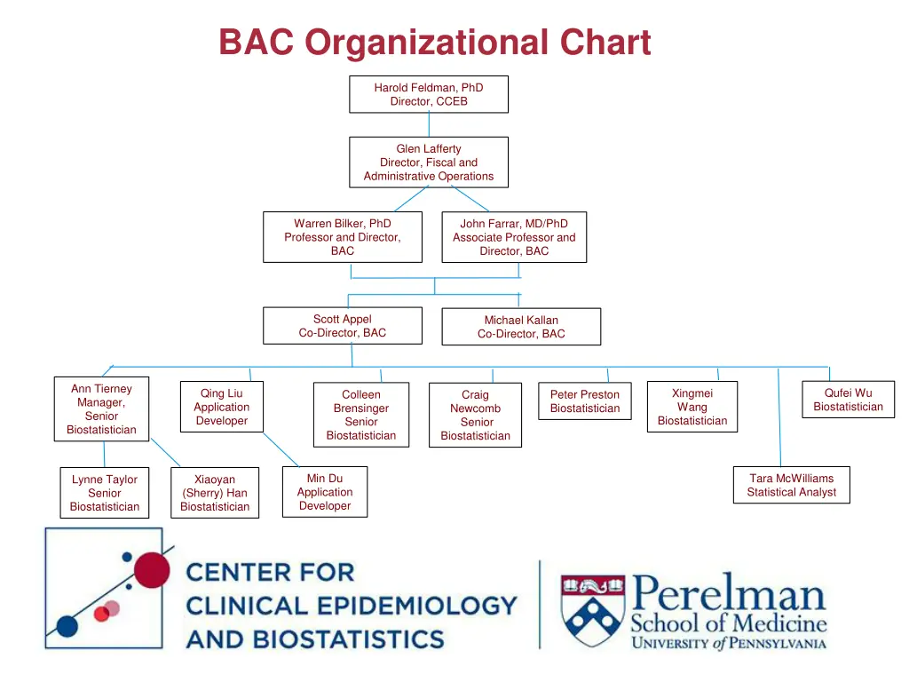 bac organizational chart