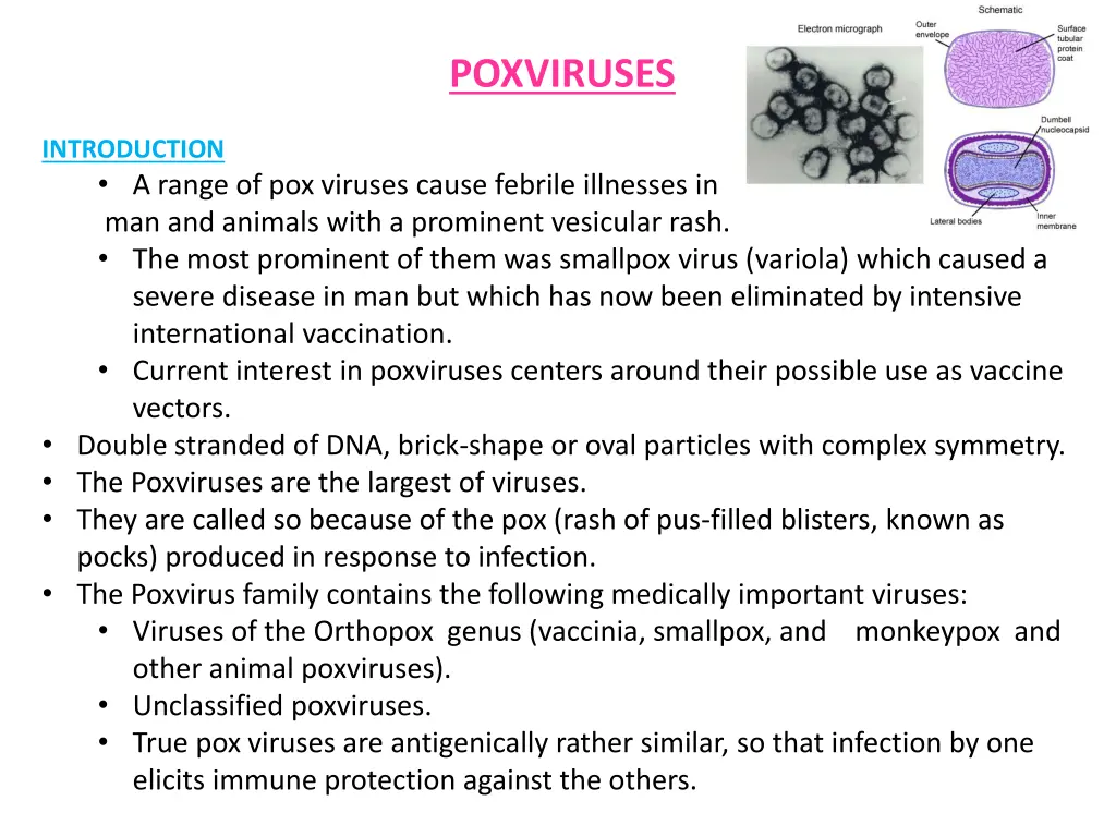 poxviruses